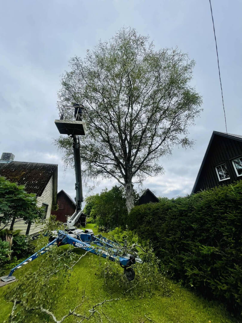 Ohtlike okste eemaldamine enne tööd.