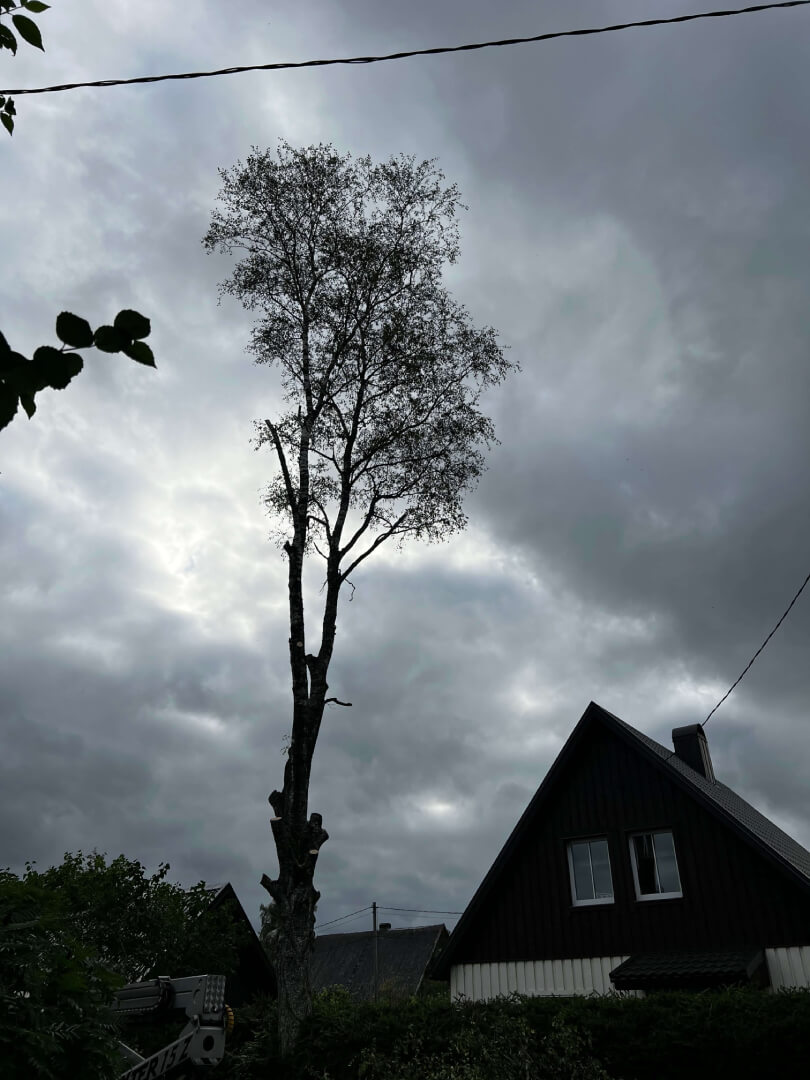 Ohtlike okste eemaldamine pärast tööd.
